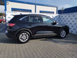 FORD Kuga 1.5 EcoBlue 120 CV 2WD ST-Line