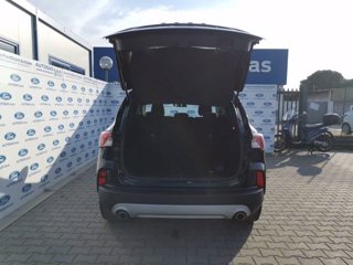 FORD Kuga 1.5 EcoBlue 120 CV 2WD ST-Line