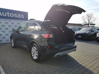 FORD Kuga 1.5 EcoBlue 120 CV 2WD Titanium