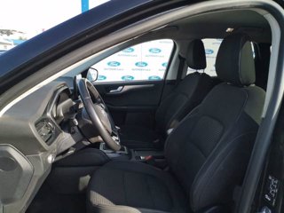 FORD Kuga 1.5 EcoBlue 120 CV 2WD ST-Line