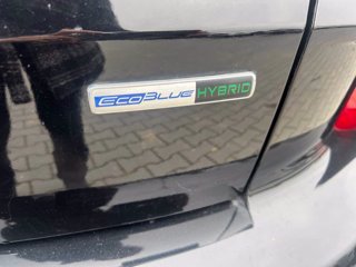FORD Kuga 2.0 EcoBlue Hybrid 150 CV 2WD ST-Line