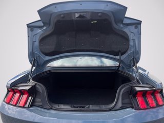 FORD Mustang Fastback 5.0 V8 Dark Horse 453cv auto