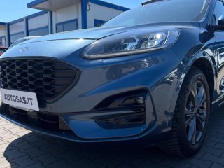 FORD Kuga 2.5 full hybrid ST-Line X 2wd 190cv cvt