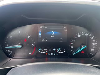 FORD Focus Active SW 1.5 ecoblue Design 120cv auto