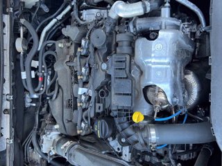 FORD Kuga 1.5 EcoBlue 120 CV 2WD Connect