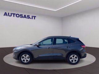 FORD Kuga 1.5 ecoblue Connect 2wd 120cv