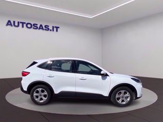 FORD Kuga 1.5 ecoblue Connect 2wd 120cv