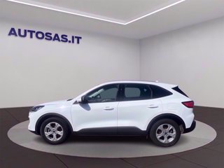 FORD Kuga 1.5 ecoblue Connect 2wd 120cv