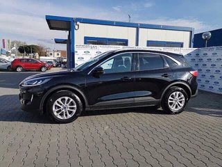 FORD Kuga 1.5 EcoBlue 120 CV 2WD Titanium