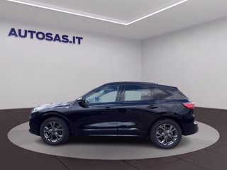 FORD Kuga 1.5 ecoblue ST-Line 2wd 120cv