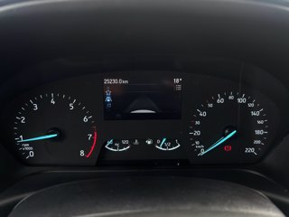 FORD Fiesta Active 1.0 ecoboost h 125cv