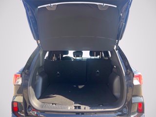 FORD Kuga 2.5 full hybrid ST-Line 2wd 190cv cvt