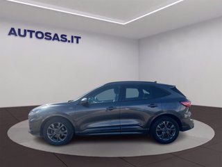 FORD Kuga 1.5 ecoblue ST-Line 2wd 120cv