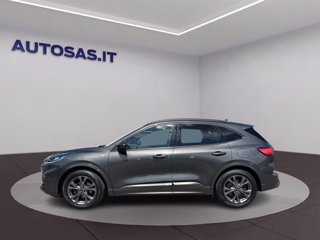 FORD Kuga 1.5 ecoblue ST-Line 2wd 120cv