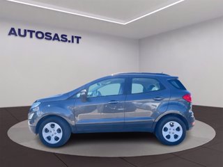 FORD EcoSport 1.5 ecoblue Plus s&s 100cv my19