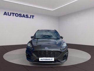 FORD Kuga 1.5 ecoblue ST-Line X 2wd 120cv auto