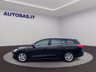 FORD Focus SW 1.5 ecoblue Business Co-pilot s&s 120cv auto
