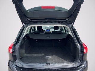 FORD Focus SW 1.5 ecoblue Business Co-pilot s&s 120cv auto