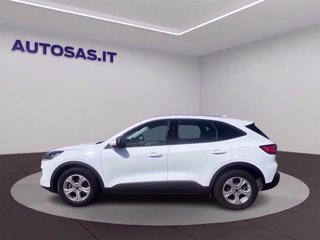 FORD Kuga 1.5 ecoblue Connect 2wd 120cv