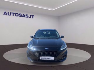 FORD Kuga 1.5 ecoblue ST-Line 2wd 120cv auto