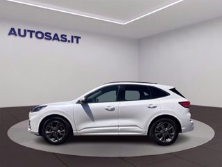 FORD Kuga 1.5 ecoboost ST-Line 2wd 150cv