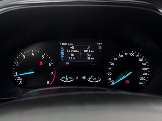 FORD Focus 1.0t ecoboost h ST-Line 125cv