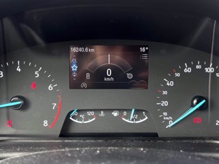 FORD Fiesta Active 1.0 ecoboost h 125cv