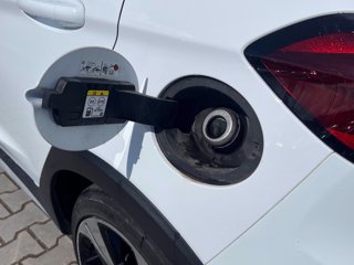 FORD Fiesta Active 1.0 ecoboost h X 125cv