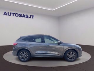 FORD Kuga 2.5 full hybrid ST-Line 2wd 190cv cvt