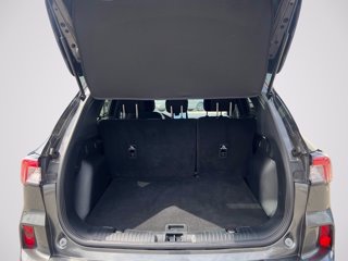 FORD Kuga 2.5 full hybrid ST-Line 2wd 190cv cvt