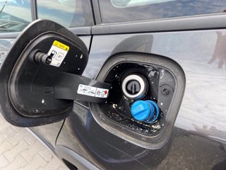 FORD Focus Active SW 1.5 ecoblue Design 120cv auto