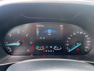 FORD Focus Active SW 1.5 ecoblue Design 120cv auto