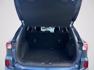 FORD Kuga 1.5 ecoblue ST-Line 2wd 120cv