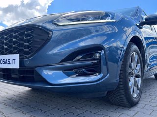 FORD Kuga 1.5 ecoblue ST-Line 2wd 120cv
