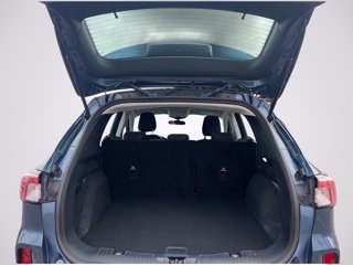 FORD Kuga 1.5 ecoblue Connect 2wd 120cv