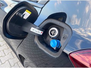 FORD Focus 1.5 ecoblue ST-Line 120cv auto
