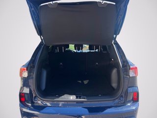 FORD Kuga 1.5 ecoboost ST-Line 2wd 150cv