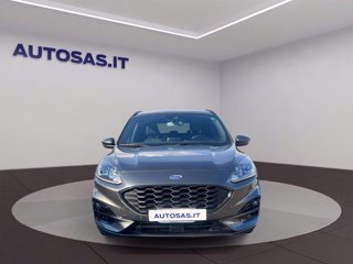 FORD Kuga 1.5 ecoblue ST-Line 2wd 120cv