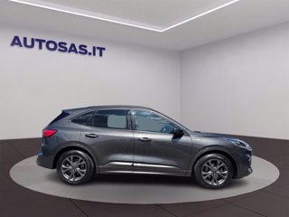 FORD Kuga 1.5 ecoblue ST-Line 2wd 120cv