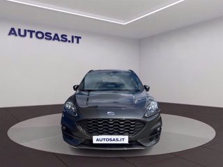 FORD Kuga 1.5 ecoblue ST-Line X 2wd 120cv auto