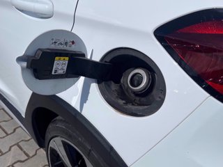 FORD Fiesta Active 1.0 ecoboost h X 125cv
