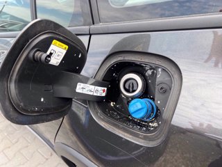 FORD Focus Active SW 1.5 ecoblue Design 120cv auto
