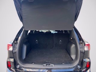 FORD Kuga 1.5 ecoboost ST-Line 2wd 150cv