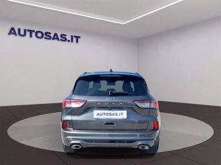 FORD Kuga 1.5 ecoblue ST-Line 2wd 120cv