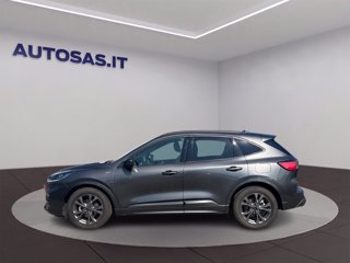 FORD Kuga 1.5 ecoblue ST-Line 2wd 120cv