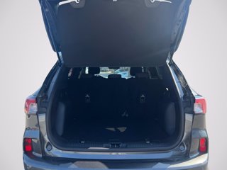 FORD Kuga 1.5 ecoblue ST-Line 2wd 120cv