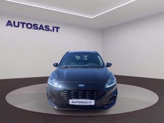 FORD Kuga 1.5 ecoblue ST-Line 2wd 120cv auto