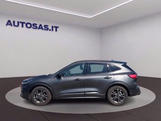 FORD Kuga 1.5 ecoblue ST-Line 2wd 120cv