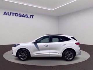 FORD Kuga 1.5 ecoboost ST-Line 2wd 150cv