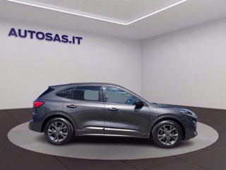 FORD Kuga 1.5 ecoblue ST-Line 2wd 120cv